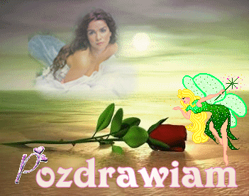 Pozdrawiam kobieta czerwona róża